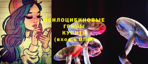 гидра Зеленокумск