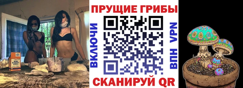 Купить где  Котово  Псилоцибиновые грибы ЛСД 